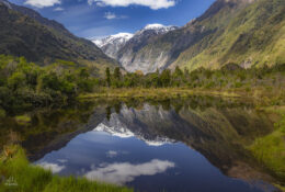 New Zealand 2025 (2 group) (50/84)